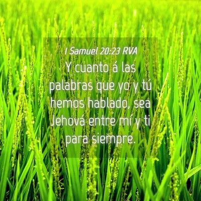 Picture 04 - 1 Samuel 20:23 RVA - Y cuanto á las palabras que yo y tú hemos - Bible Verse Picture
