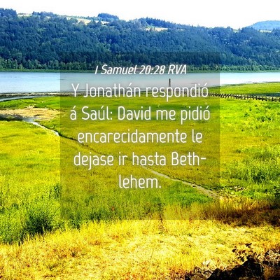 Picture 04 - 1 Samuel 20:28 RVA - Y Jonathán respondió á Saúl: David me pidió - Bible Verse Picture