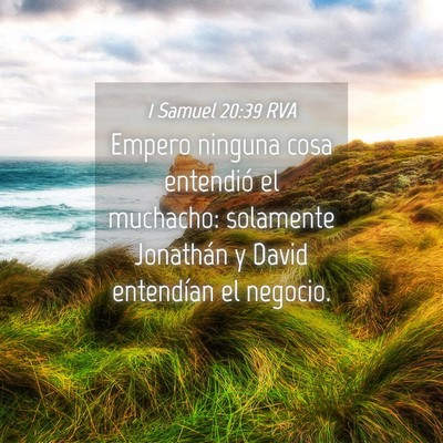 Picture 04 - 1 Samuel 20:39 RVA - Empero ninguna cosa entendió el muchacho: - Bible Verse Picture