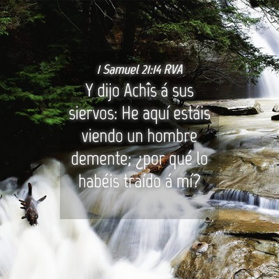 Picture 04 - 1 Samuel 21:14 RVA - Y dijo Achîs á sus siervos: He aquí estáis - Bible Verse Picture