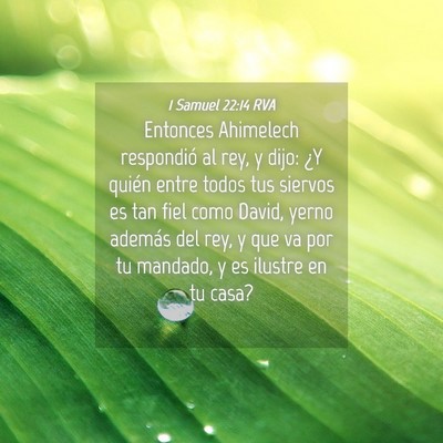Picture 04 - 1 Samuel 22:14 RVA - Entonces Ahimelech respondió al rey, y dijo: ¿Y - Bible Verse Picture