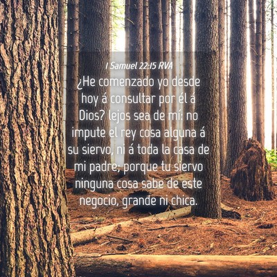 Picture 04 - 1 Samuel 22:15 RVA - ¿He comenzado yo desde hoy á consultar por él - Bible Verse Picture