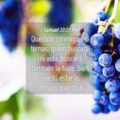 Picture 04 - 1 Samuel 22:23 RVA - Quédate conmigo, no temas: quien buscare mi - Bible Verse Picture