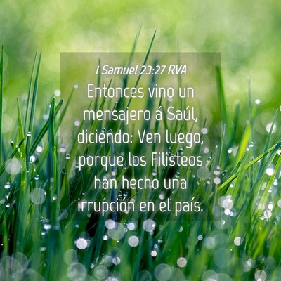 Picture 04 - 1 Samuel 23:27 RVA - Entonces vino un mensajero á Saúl, diciendo: - Bible Verse Picture