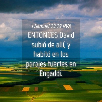 Picture 04 - 1 Samuel 23:29 RVA - ENTONCES David subió de allí, y habitó en los - Bible Verse Picture