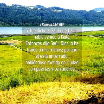 Picture 04 - 1 Samuel 23:7 RVA - Y fué dicho á Saúl que David había venido á - Bible Verse Picture