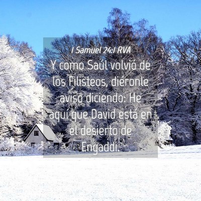 Picture 04 - 1 Samuel 24:1 RVA - Y como Saúl volvió de los Filisteos, diéronle - Bible Verse Picture