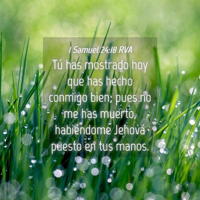 Picture 04 - 1 Samuel 24:18 RVA - Tú has mostrado hoy que has hecho conmigo bien; - Bible Verse Picture