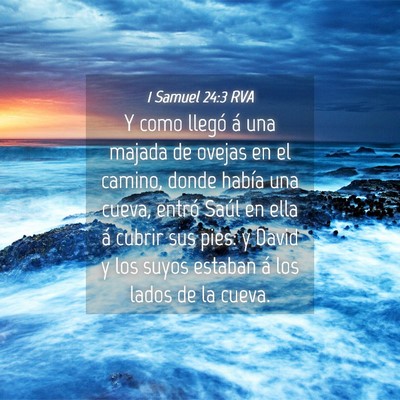 Picture 04 - 1 Samuel 24:3 RVA - Y como llegó á una majada de ovejas en el - Bible Verse Picture