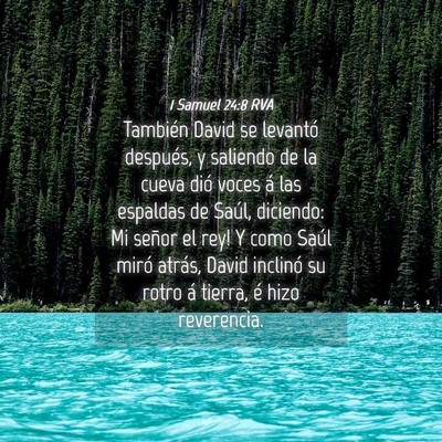 Picture 04 - 1 Samuel 24:8 RVA - También David se levantó después, y saliendo - Bible Verse Picture