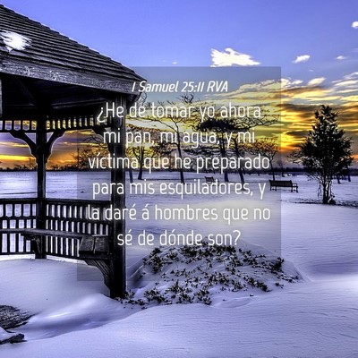 Picture 04 - 1 Samuel 25:11 RVA - ¿He de tomar yo ahora mi pan, mi agua, y mi - Bible Verse Picture