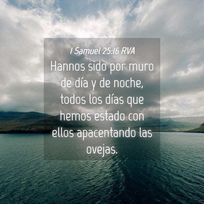 Picture 04 - 1 Samuel 25:16 RVA - Hannos sido por muro de día y de noche, todos - Bible Verse Picture