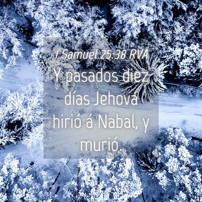 Picture 04 - 1 Samuel 25:38 RVA - Y pasados diez días Jehová hirió á Nabal, y - Bible Verse Picture