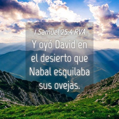 Picture 04 - 1 Samuel 25:4 RVA - Y oyó David en el desierto que Nabal esquilaba - Bible Verse Picture
