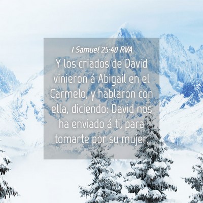 Picture 04 - 1 Samuel 25:40 RVA - Y los criados de David vinieron á Abigail en el - Bible Verse Picture
