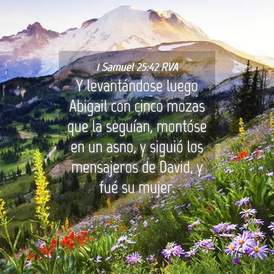 Picture 04 - 1 Samuel 25:42 RVA - Y levantándose luego Abigail con cinco mozas que - Bible Verse Picture