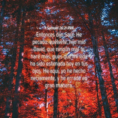 Picture 04 - 1 Samuel 26:21 RVA - Entonces dijo Saúl: He pecado: vuélvete, hijo - Bible Verse Picture