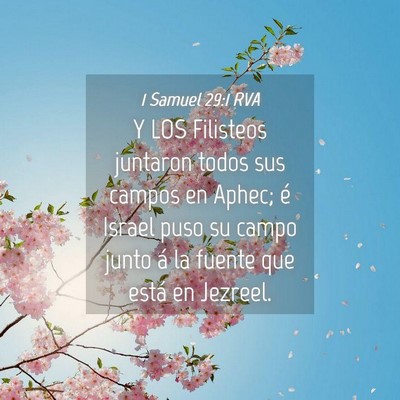 Picture 04 - 1 Samuel 29:1 RVA - Y LOS Filisteos juntaron todos sus campos en - Bible Verse Picture