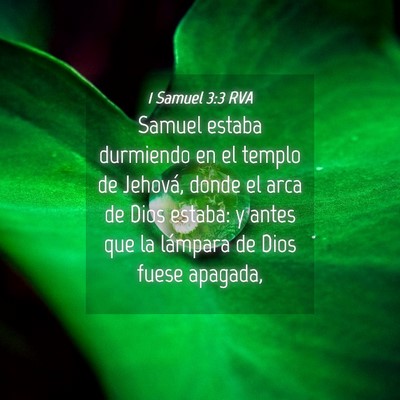 Picture 04 - 1 Samuel 3:3 RVA - Samuel estaba durmiendo en el templo de Jehová, - Bible Verse Picture
