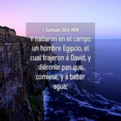 Picture 04 - 1 Samuel 30:11 RVA - Y hallaron en el campo un hombre Egipcio, el cual - Bible Verse Picture