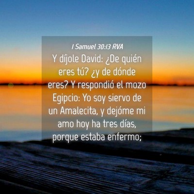 Picture 04 - 1 Samuel 30:13 RVA - Y díjole David: ¿De quién eres tú? ¿y de - Bible Verse Picture