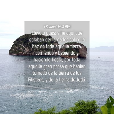Picture 04 - 1 Samuel 30:16 RVA - Llevólo pues: y he aquí que estaban derramados - Bible Verse Picture