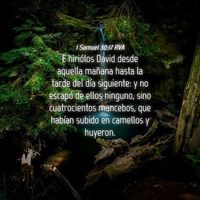 Picture 04 - 1 Samuel 30:17 RVA - E hiriólos David desde aquella mañana hasta la - Bible Verse Picture