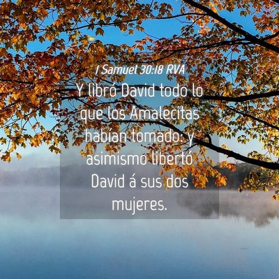 Picture 04 - 1 Samuel 30:18 RVA - Y libró David todo lo que los Amalecitas habían - Bible Verse Picture