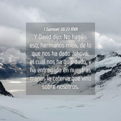 Picture 04 - 1 Samuel 30:23 RVA - Y David dijo: No hagáis eso, hermanos míos, de - Bible Verse Picture