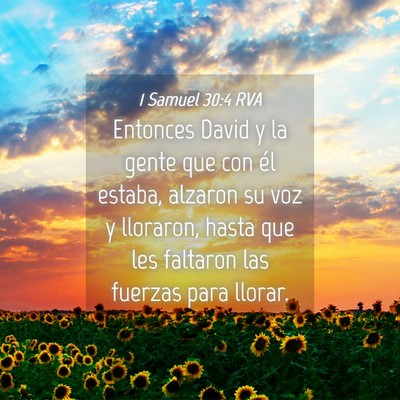 Picture 04 - 1 Samuel 30:4 RVA - Entonces David y la gente que con él estaba, - Bible Verse Picture