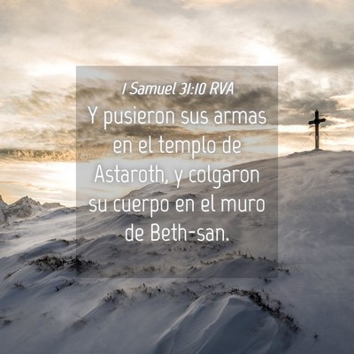 Picture 04 - 1 Samuel 31:10 RVA - Y pusieron sus armas en el templo de Astaroth, y - Bible Verse Picture