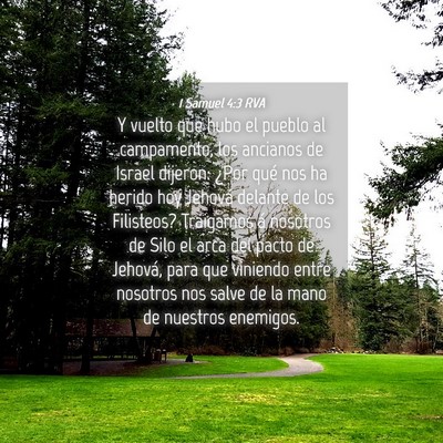 Picture 04 - 1 Samuel 4:3 RVA - Y vuelto que hubo el pueblo al campamento, los - Bible Verse Picture