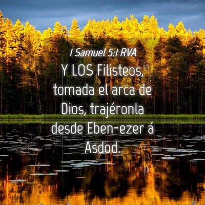 Picture 04 - 1 Samuel 5:1 RVA - Y LOS Filisteos, tomada el arca de Dios, - Bible Verse Picture