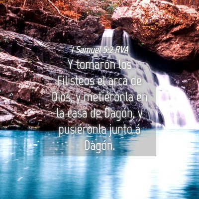 Picture 04 - 1 Samuel 5:2 RVA - Y tomaron los Filisteos el arca de Dios, y - Bible Verse Picture