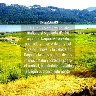 Picture 04 - 1 Samuel 5:4 RVA - Y tornándose á levantar de mañana el siguiente - Bible Verse Picture