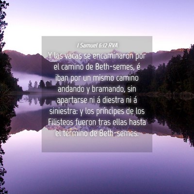 Picture 04 - 1 Samuel 6:12 RVA - Y las vacas se encaminaron por el camino de - Bible Verse Picture