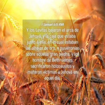 Picture 04 - 1 Samuel 6:15 RVA - Y los Levitas bajaron el arca de Jehová, y la - Bible Verse Picture