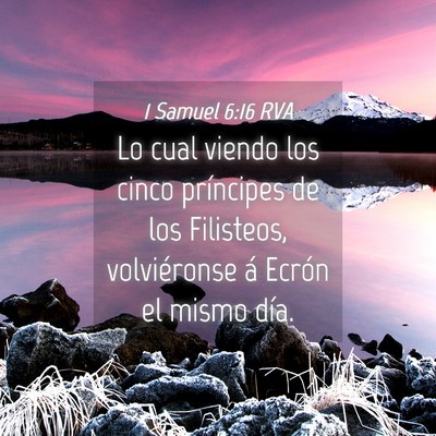 Picture 04 - 1 Samuel 6:16 RVA - Lo cual viendo los cinco príncipes de los - Bible Verse Picture