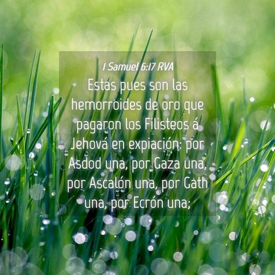 Picture 04 - 1 Samuel 6:17 RVA - Estas pues son las hemorroides de oro que pagaron - Bible Verse Picture