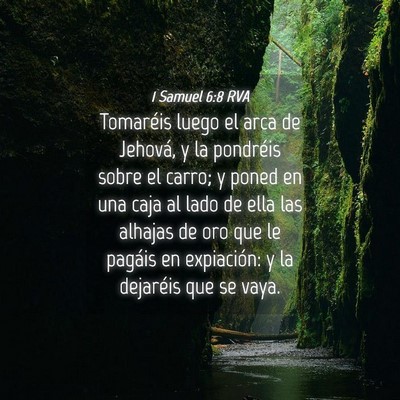 Picture 04 - 1 Samuel 6:8 RVA - Tomaréis luego el arca de Jehová, y la - Bible Verse Picture