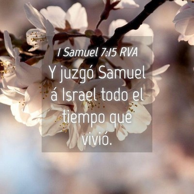Picture 04 - 1 Samuel 7:15 RVA - Y juzgó Samuel á Israel todo el tiempo que - Bible Verse Picture