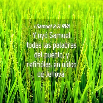 Picture 04 - 1 Samuel 8:21 RVA - Y oyó Samuel todas las palabras del pueblo, y - Bible Verse Picture