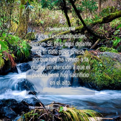 Picture 04 - 1 Samuel 9:12 RVA - Y ellas respondiéndoles, dijeron: Sí; helo - Bible Verse Picture