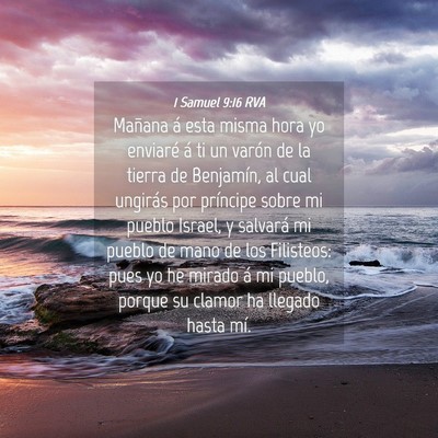 Picture 04 - 1 Samuel 9:16 RVA - Mañana á esta misma hora yo enviaré á ti un - Bible Verse Picture