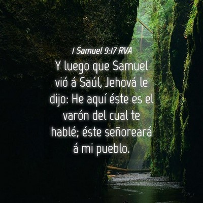 Picture 04 - 1 Samuel 9:17 RVA - Y luego que Samuel vió á Saúl, Jehová le - Bible Verse Picture