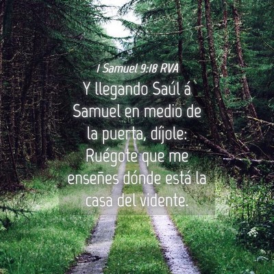 Picture 04 - 1 Samuel 9:18 RVA - Y llegando Saúl á Samuel en medio de la puerta, - Bible Verse Picture