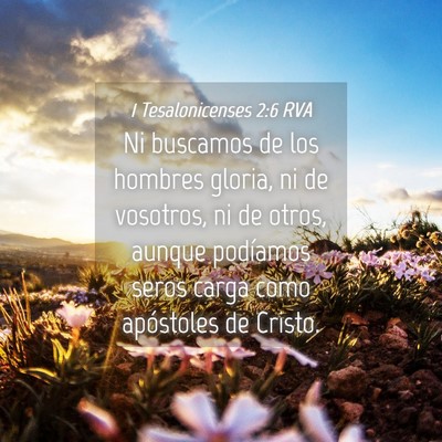 Picture 04 - 1 Tesalonicenses 2:6 RVA - Ni buscamos de los hombres gloria, ni de - Bible Verse Picture