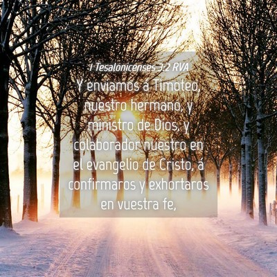 Picture 04 - 1 Tesalonicenses 3:2 RVA - Y enviamos á Timoteo, nuestro hermano, y - Bible Verse Picture