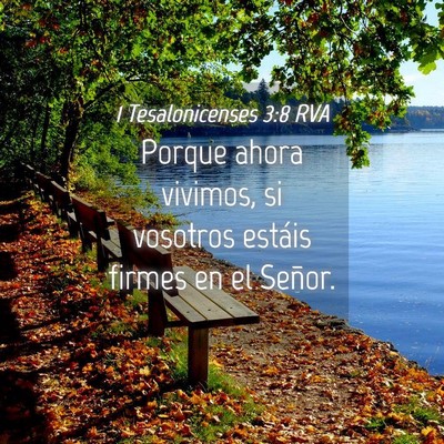 Picture 04 - 1 Tesalonicenses 3:8 RVA - Porque ahora vivimos, si vosotros estáis firmes - Bible Verse Picture