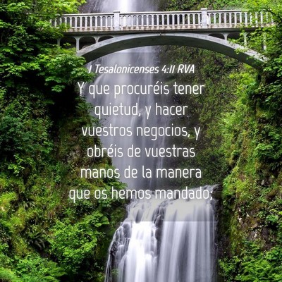 Picture 04 - 1 Tesalonicenses 4:11 RVA - Y que procuréis tener quietud, y hacer vuestros - Bible Verse Picture